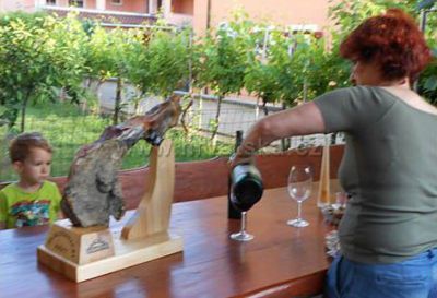 Apartmány SNJEŽANA Fažana