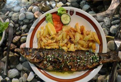 Apartmány Pelješac