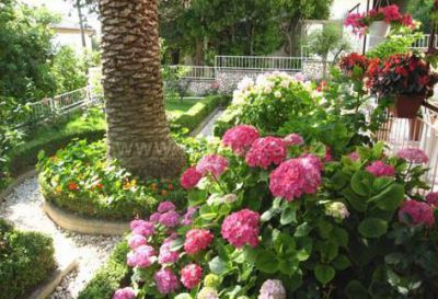 Apartmány Marija Španjol