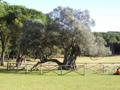 Rekreační dům Magdalena