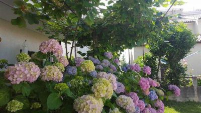 Rekreační dům Magdalena