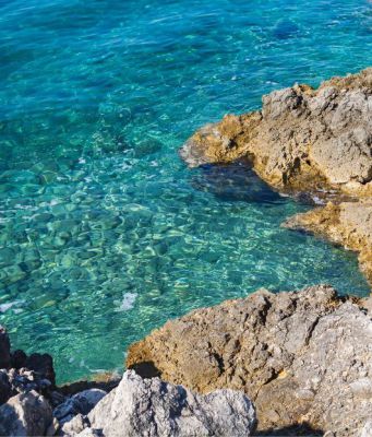 Apartmány TAMARIS & JASMIN