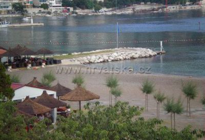 Vesna Adriatica
