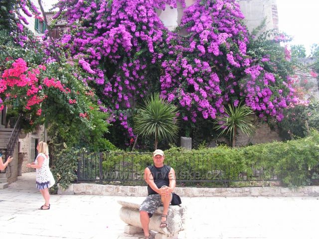 split zahrada v paláci deocletion