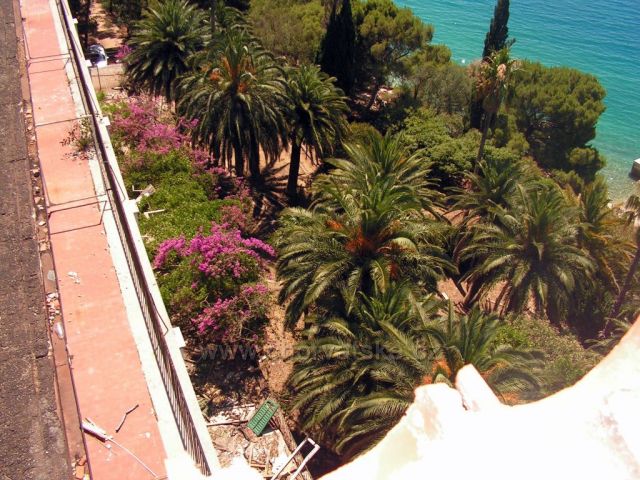 palmová zahrada u hotelu jadran...tučepi
