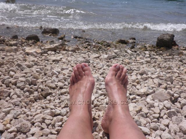 ptirovac u Šibeniku chorvatsko