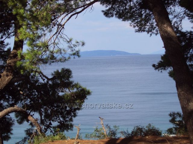 Moře mezi stromy v Gradacu