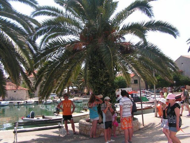 Ostrov Hvar....2009