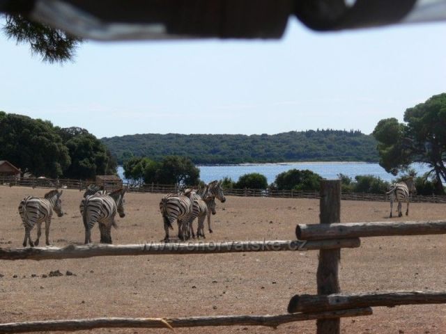 NP Brijuni - Safari