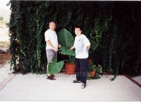 na terase v Močiči