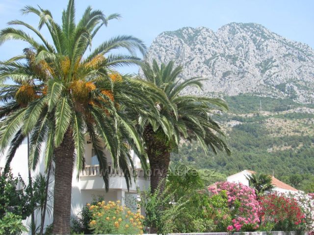 pohoří Biokovo,Zaostrog 2012