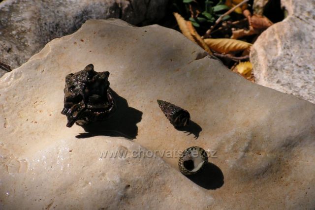 Natur 01 - Baška Voda