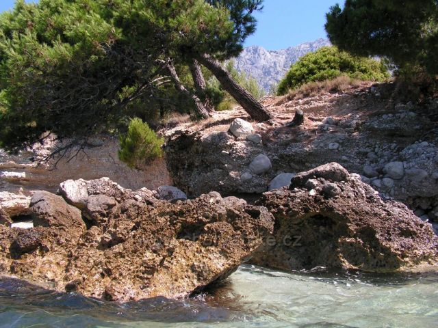 Natur 08 - Baška Voda