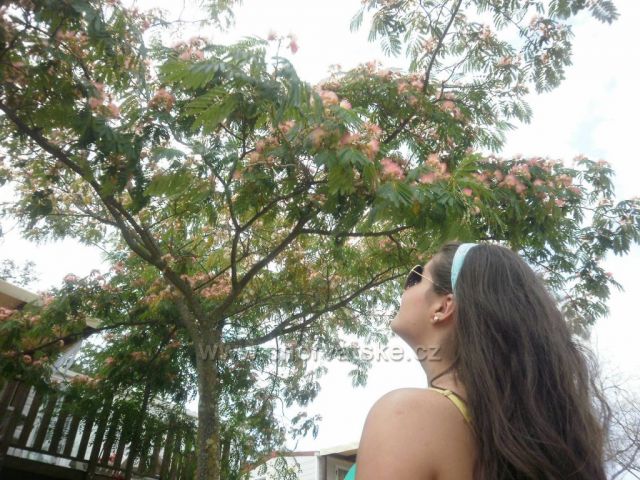 zajímavá květena Autokemp Bijela uvala Poreč