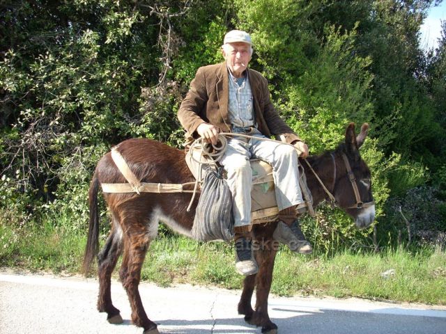 Domorodec na ostrově Brač