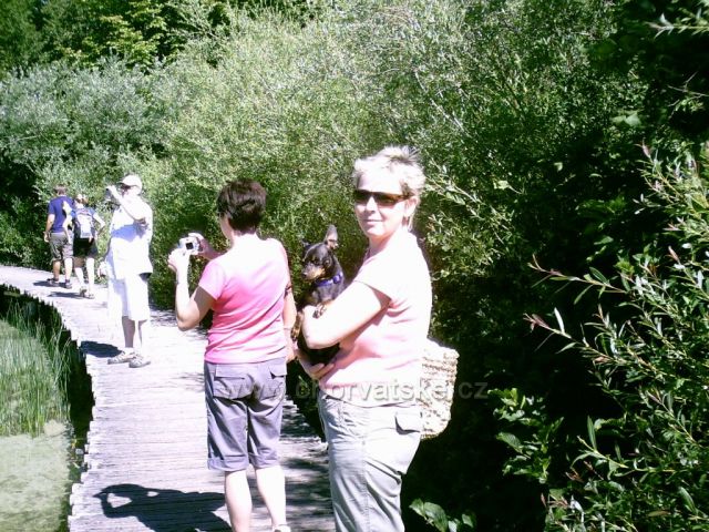 Výlet na Plitvická jezera hned po našem příjezdu do Chorvatska, bylo tam nádherně :)))