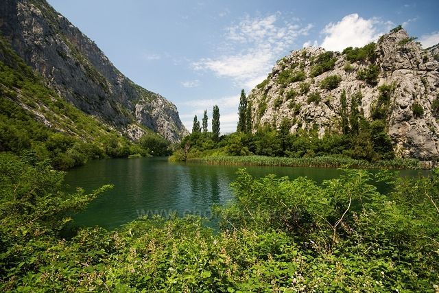Cetina