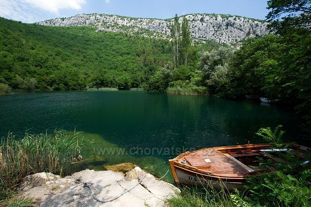 Cetina