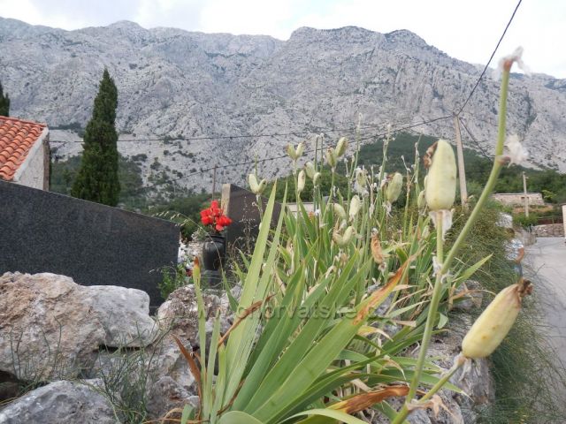 Velebit, Mali Alan, Tulove grede