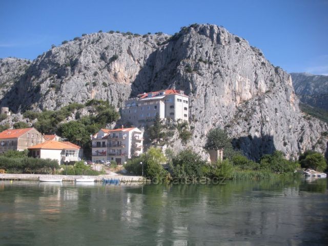 Omis