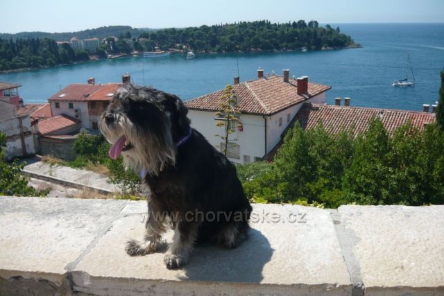 výhled z předhradí Rovinj