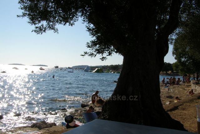 sluneční paprsky na moři...