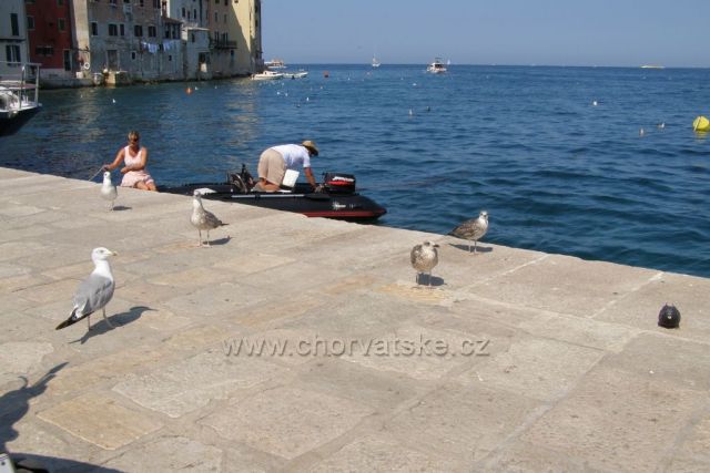 přístaviště Rovinj