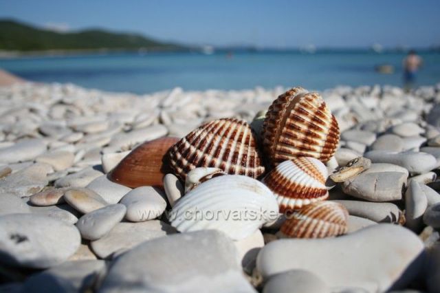 plážové aranžmá