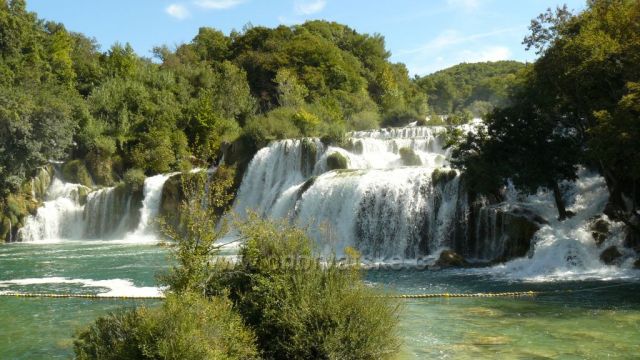 N.P.Krka
