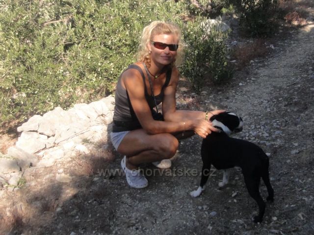 Tučepi-Villa Bougenvilia-Tomáš