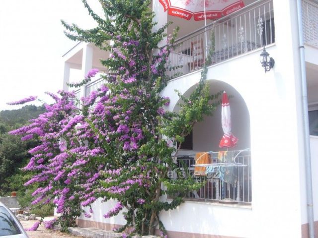 Obiteljska kuća Jelavić-apartmani Studio-(2+1)
-dvosobni s dnevnim boravkom (4+3)
- trosobni apartman (6+1)