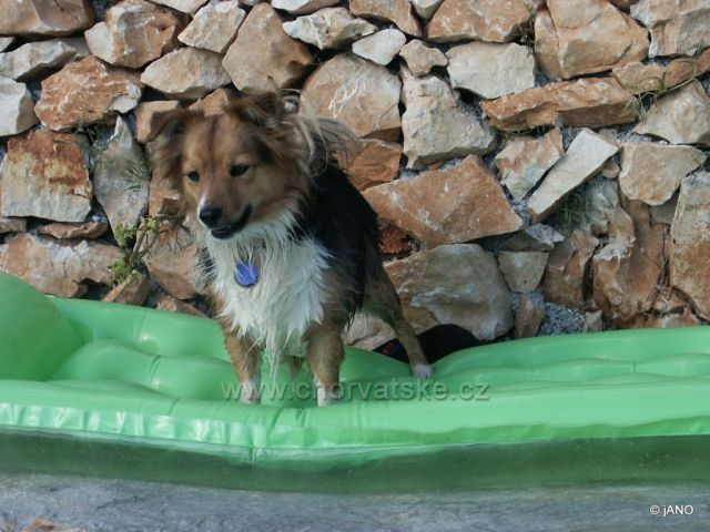 A teraz sa budem sušiť ja...