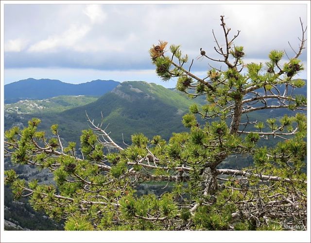 Lovčen - posvátné pohoří pro černohorce