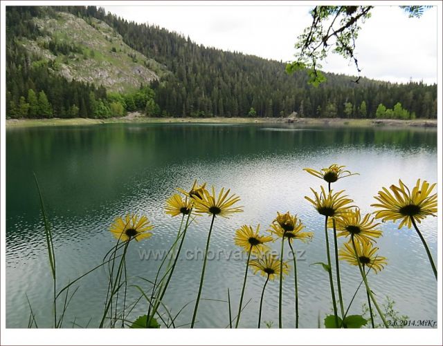 Černé jezero (Montenegro)