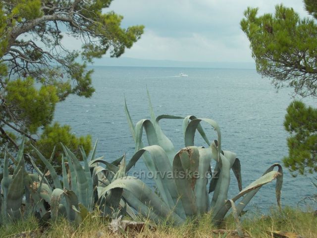 z poloostrovu sv. Petra