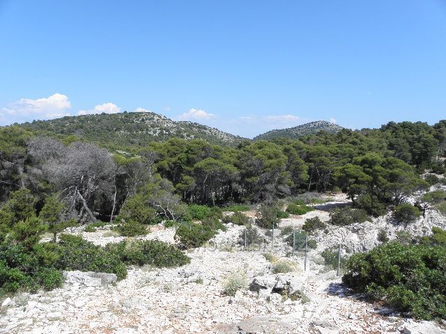 FOTOGRAFIE JSOU Z :KORNATI A CESTOU NA NĚ