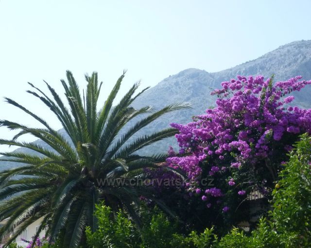 Chorvatsko,polostrov Ppelješac,Orebič