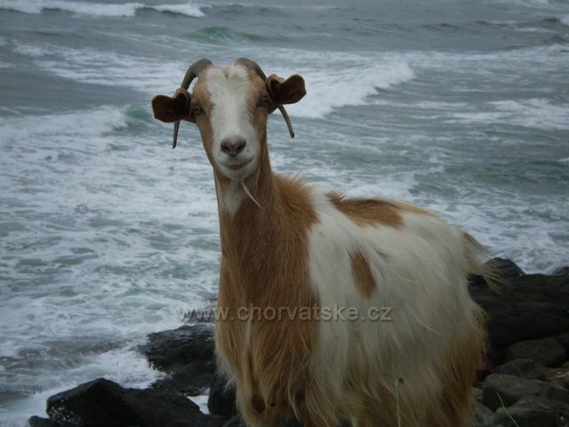 pohled z očí do očí