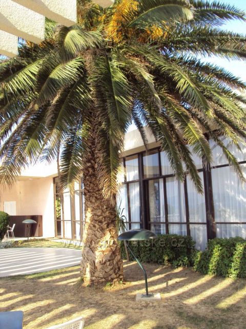 Omiš Ruskamen-Palma na terase hotelu Village Sagitta