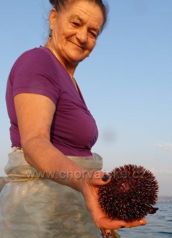 Na rybačke. Aj takýchto ježkov nájdete v sieti