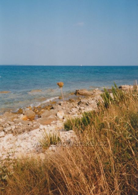 Puntižela-na obzoru plachta bílá