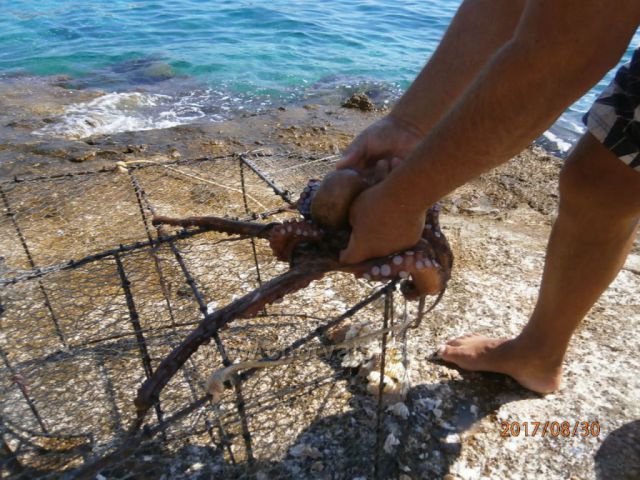 Úlovek místního rybáře.