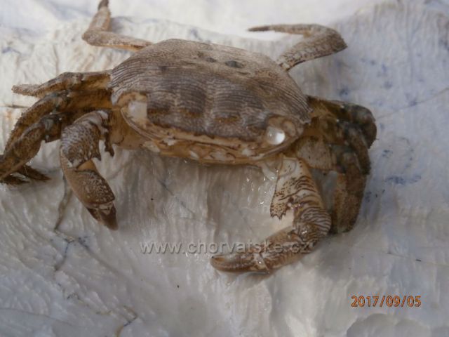 Zapózoval a zmizel.