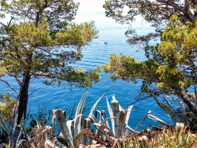 Makarska
Z parku sv. Petra