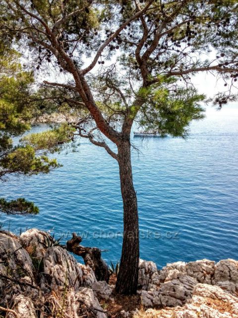 Makarska
Z parku sv. Petra