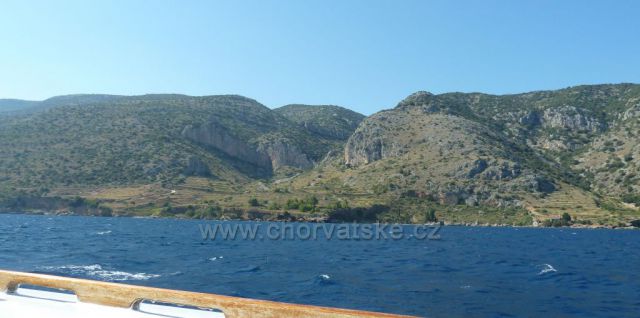 vinice na ostrově Brač