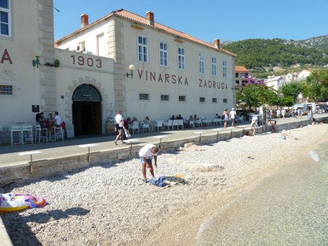 První dalmatská vinařská zádruha