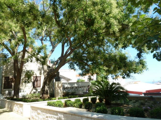 město Bol na ostrově Brač