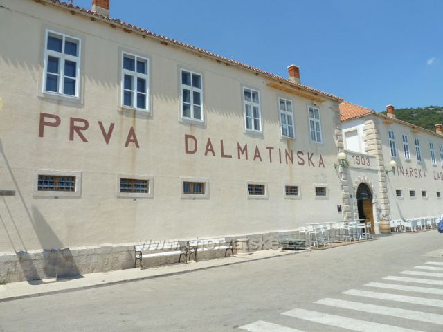 První dalmatská vinařská zádruha