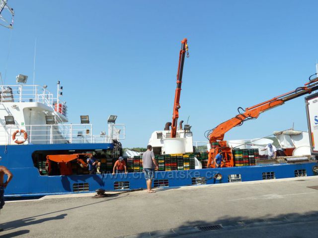 Milna, ostrov Brač, loď Adriatic Queen s bohatým úlovkem sardinek